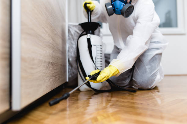 Best Affordable Pest Control Services  in Sa Conejo, CA