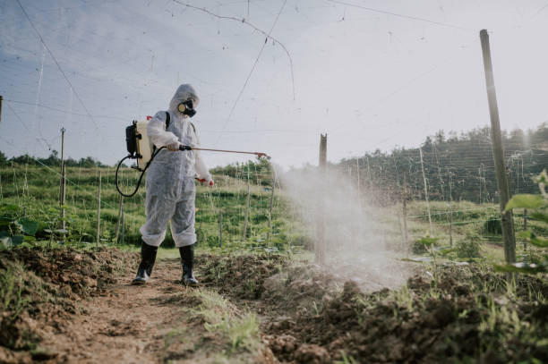 Best Pest Removal Services  in Sa Conejo, CA