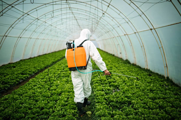 Best Ant Control Services  in Sa Conejo, CA