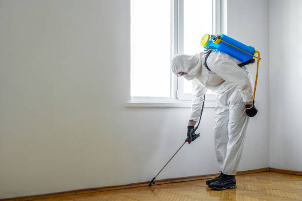 Casa Conejo, CA Pest Control Company