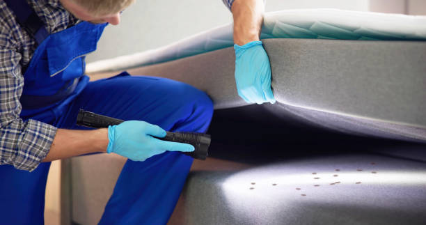 Best Exterminator Services  in Sa Conejo, CA